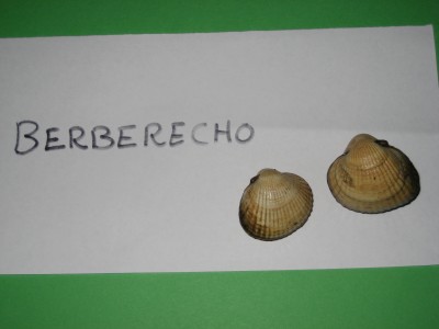 Pulsar para ver a imaxen orixinal