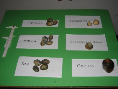 Pulsar para ver a imaxen orixinal