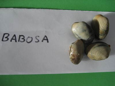 Pulsar para ver a imaxen orixinal