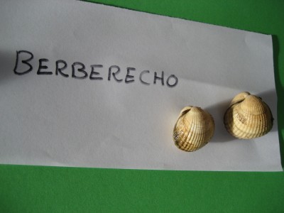 Pulsar para ver a imaxen orixinal