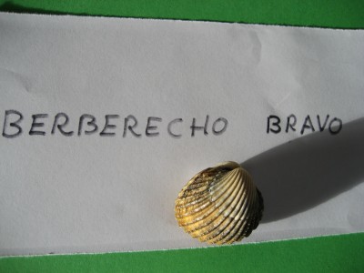 Pulsar para ver a imaxen orixinal