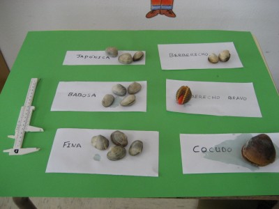 Pulsar para ver a imaxen orixinal