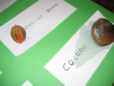 Pulsar para ver a imaxen orixinal