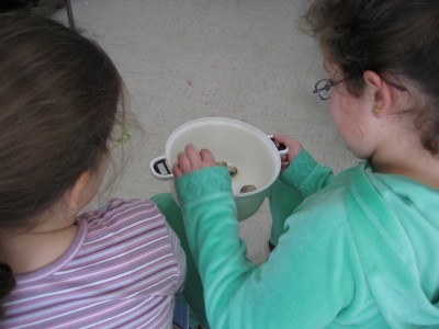 Pulsar para ver a imaxen orixinal