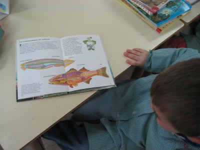 Pulsar para ver a imaxen orixinal