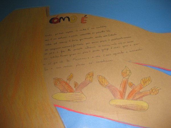 Pulsar para ver a imaxen orixinal