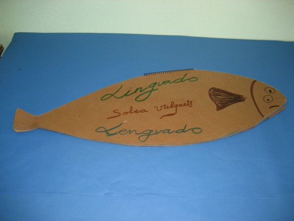 Pulsar para ver a imaxen orixinal