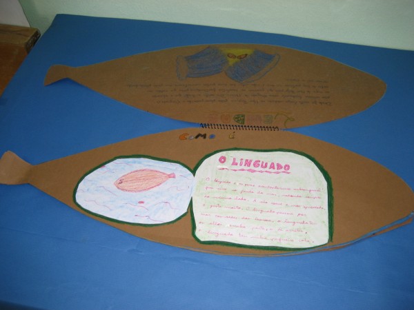 Pulsar para ver a imaxen orixinal