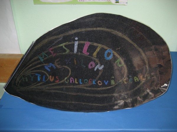 Pulsar para ver a imaxen orixinal