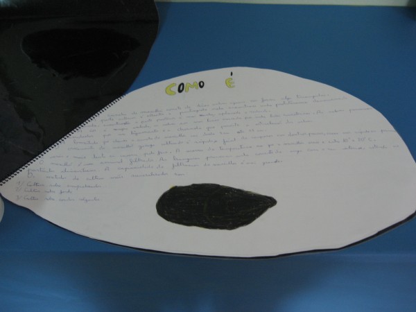 Pulsar para ver a imaxen orixinal