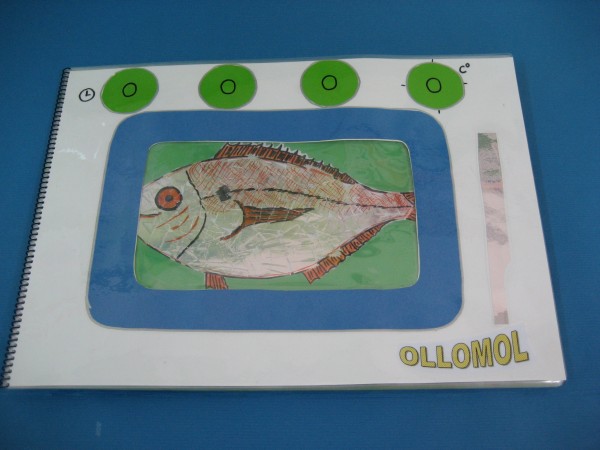 Pulsar para ver a imaxen orixinal