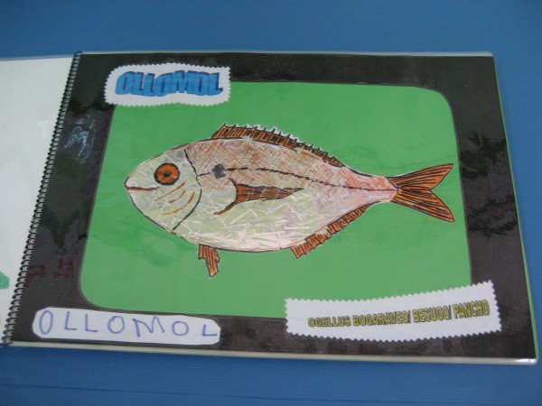 Pulsar para ver a imaxen orixinal