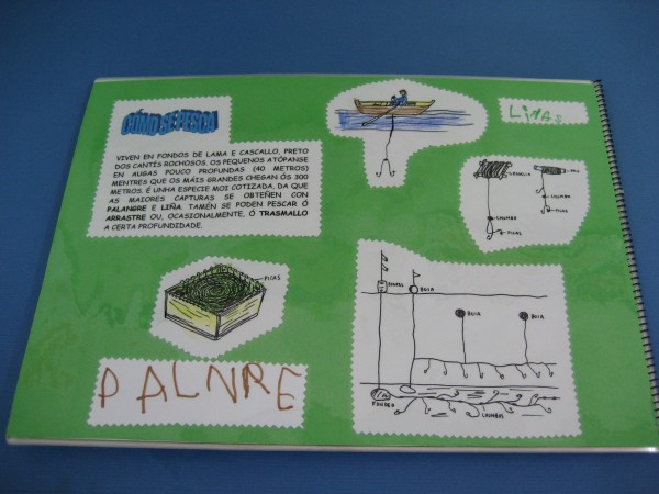 Pulsar para ver a imaxen orixinal