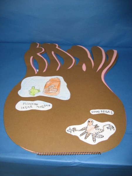 Pulsar para ver a imaxen orixinal