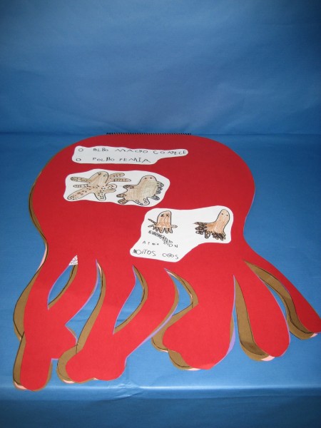 Pulsar para ver a imaxen orixinal