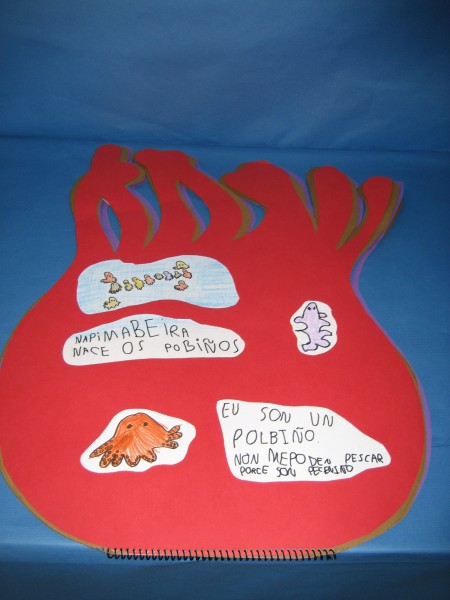 Pulsar para ver a imaxen orixinal