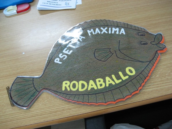 Pulsar para ver a imaxen orixinal