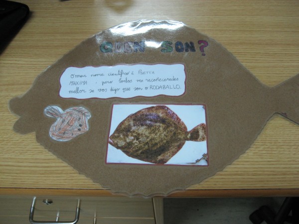 Pulsar para ver a imaxen orixinal