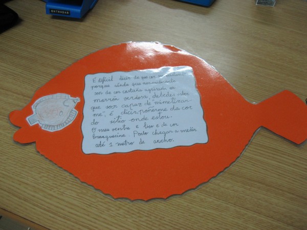 Pulsar para ver a imaxen orixinal