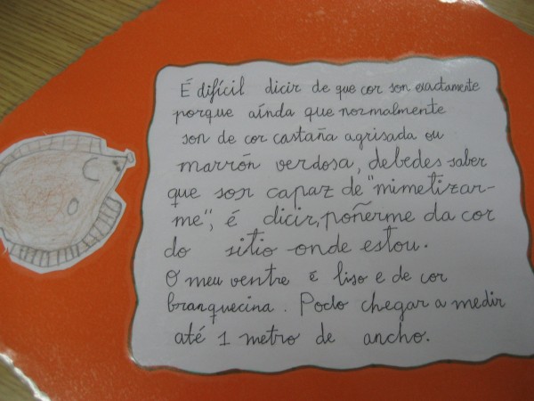 Pulsar para ver a imaxen orixinal