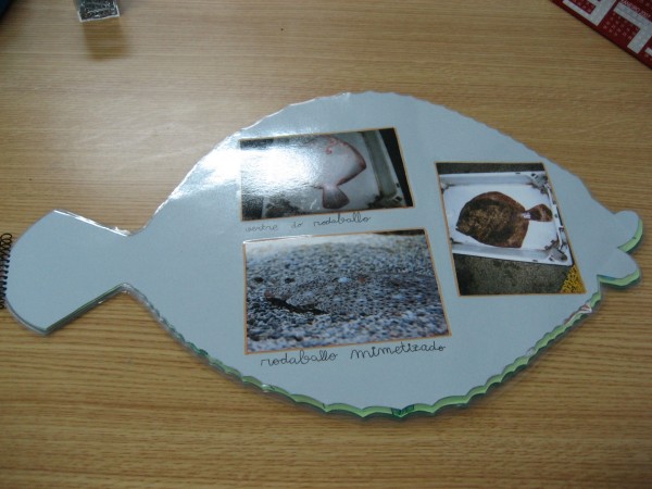 Pulsar para ver a imaxen orixinal