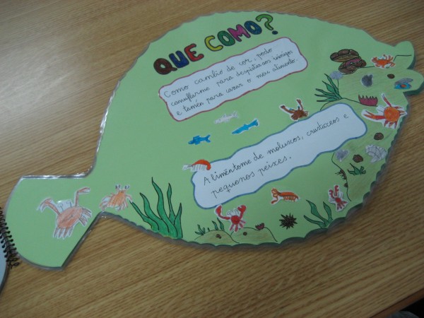 Pulsar para ver a imaxen orixinal