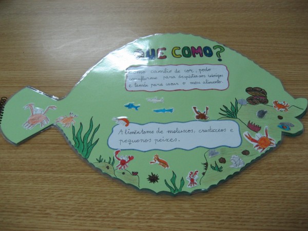 Pulsar para ver a imaxen orixinal