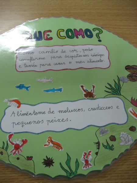 Pulsar para ver a imaxen orixinal