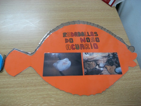 Pulsar para ver a imaxen orixinal