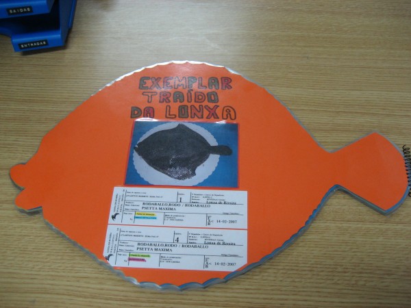 Pulsar para ver a imaxen orixinal