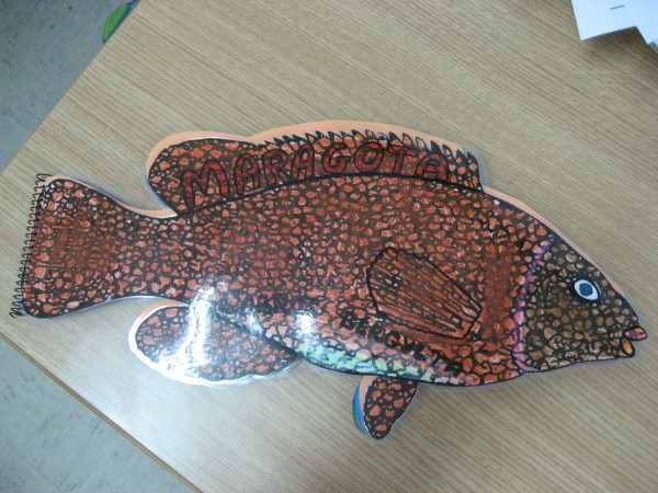 Pulsar para ver a imaxen orixinal