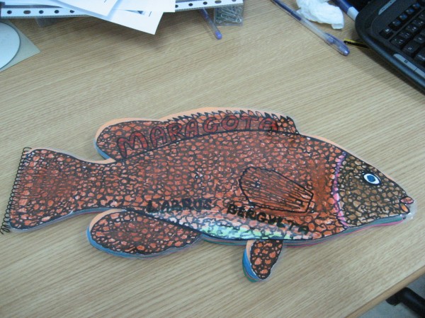 Pulsar para ver a imaxen orixinal