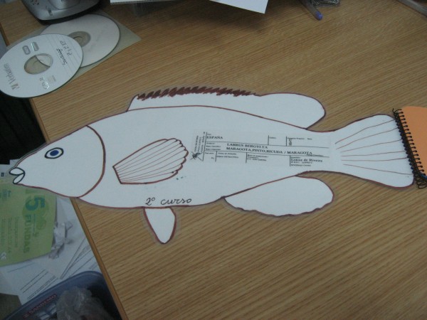 Pulsar para ver a imaxen orixinal