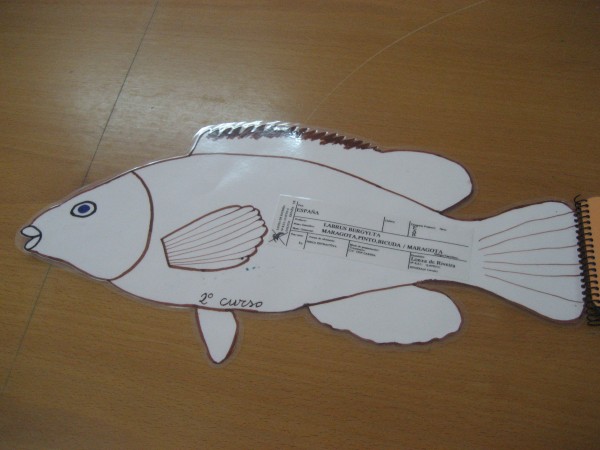 Pulsar para ver a imaxen orixinal