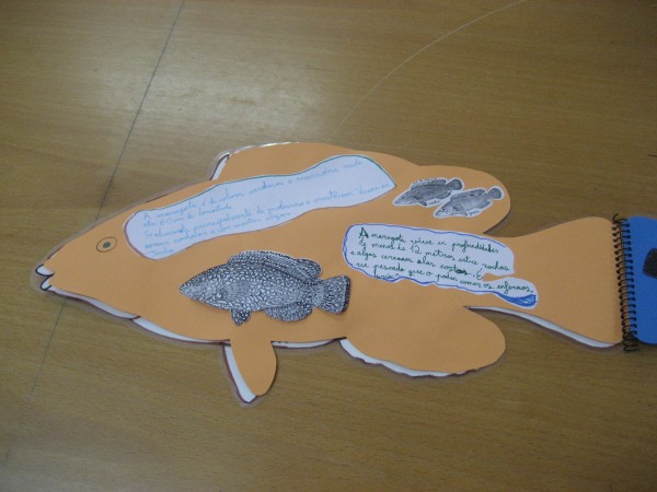 Pulsar para ver a imaxen orixinal