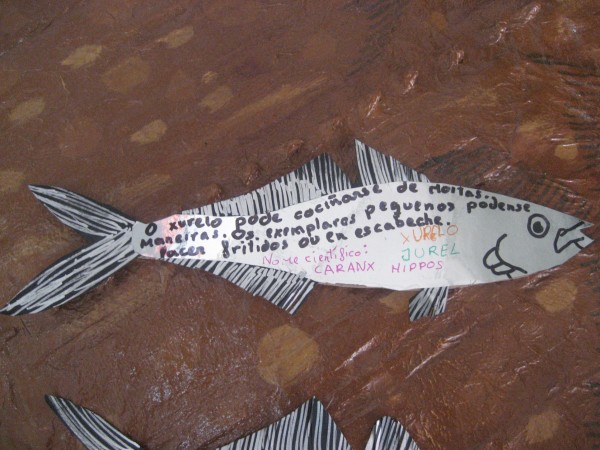 Pulsar para ver a imaxen orixinal