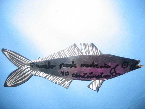 Pulsar para ver a imaxen orixinal