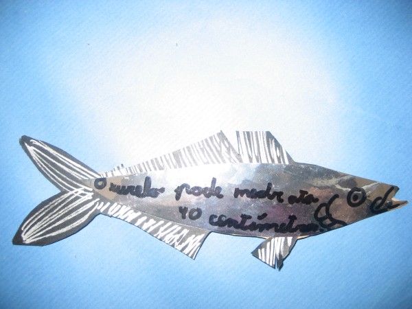 Pulsar para ver a imaxen orixinal