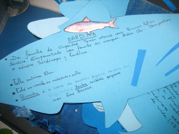 Pulsar para ver a imaxen orixinal