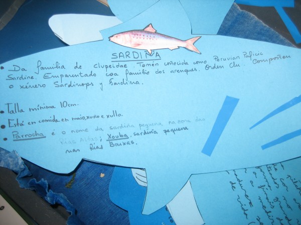 Pulsar para ver a imaxen orixinal