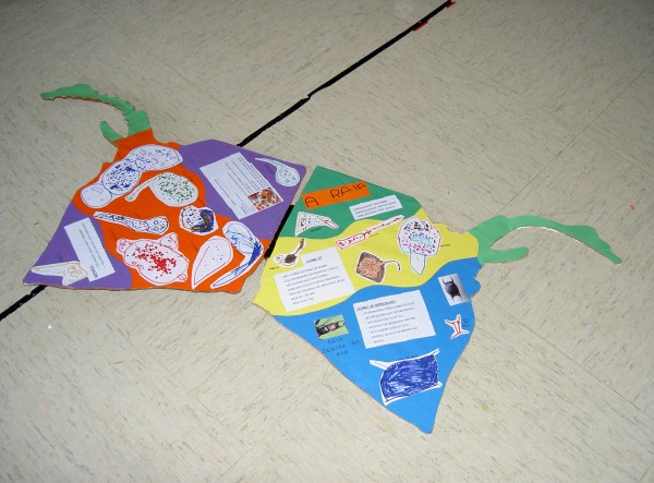 Pulsar para ver a imaxen orixinal