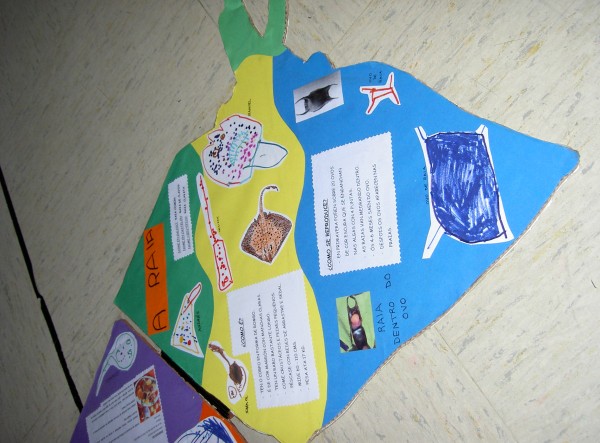 Pulsar para ver a imaxen orixinal