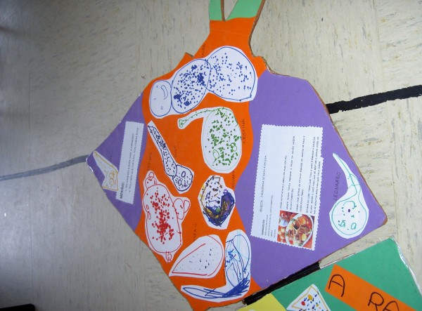 Pulsar para ver a imaxen orixinal