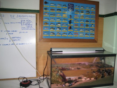 Pulsar para ver a imaxen orixinal