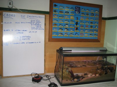 Pulsar para ver a imaxen orixinal