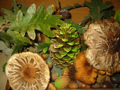 Pulsar para ver a imaxen orixinal