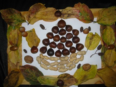 Pulsar para ver a imaxen orixinal