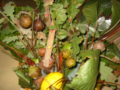 Pulsar para ver a imaxen orixinal