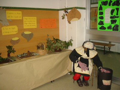 Pulsar para ver a imaxen orixinal