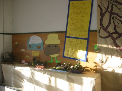 Pulsar para ver a imaxen orixinal